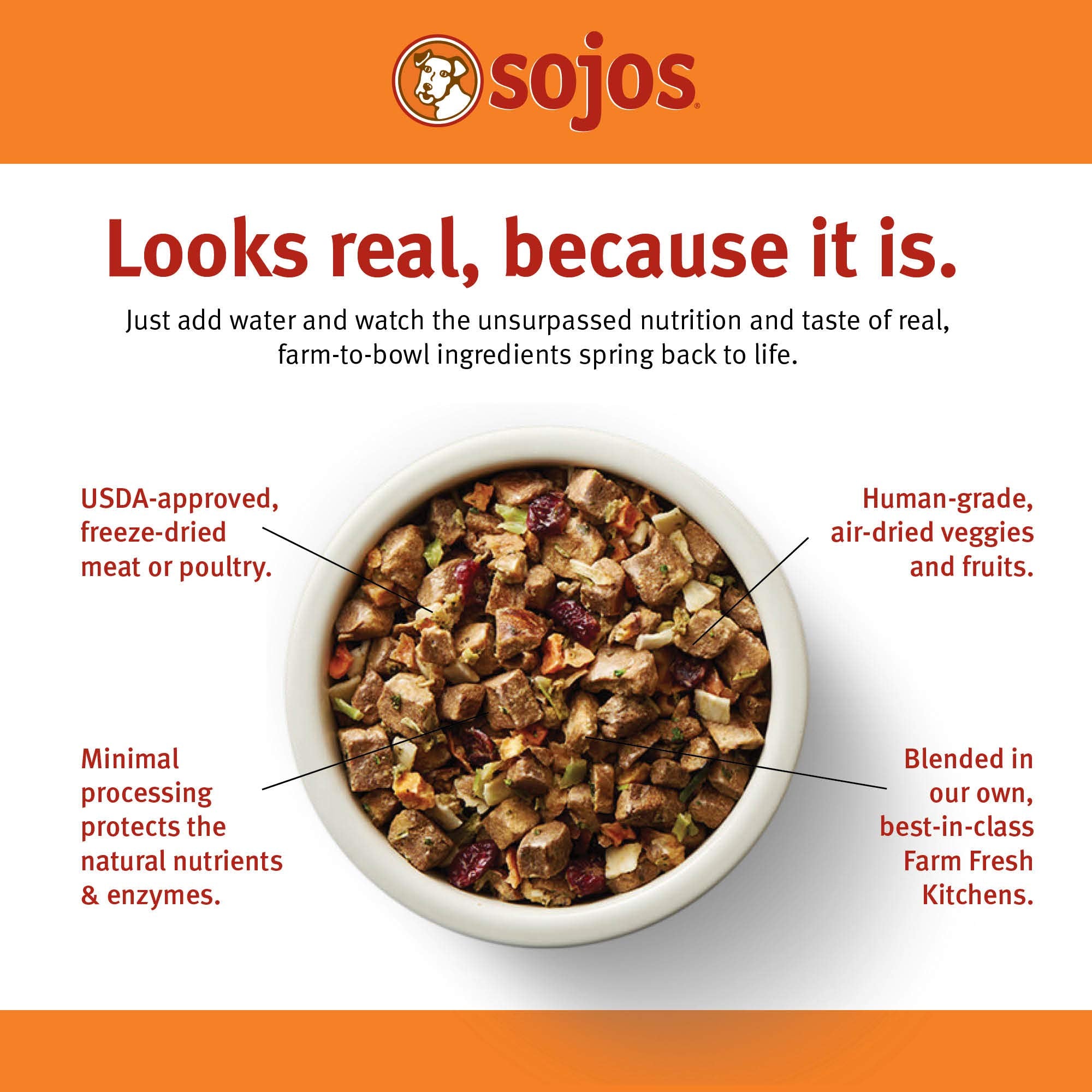 Sojos Complete freeze-dried dog food bowl: quick rehydration and serving.