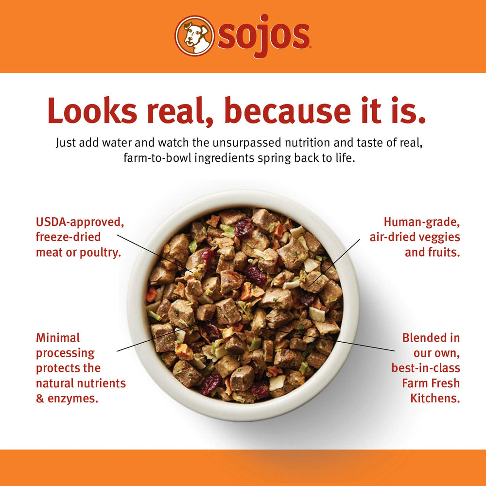 Sojos Complete freeze-dried dog food bowl: quick rehydration and serving.
