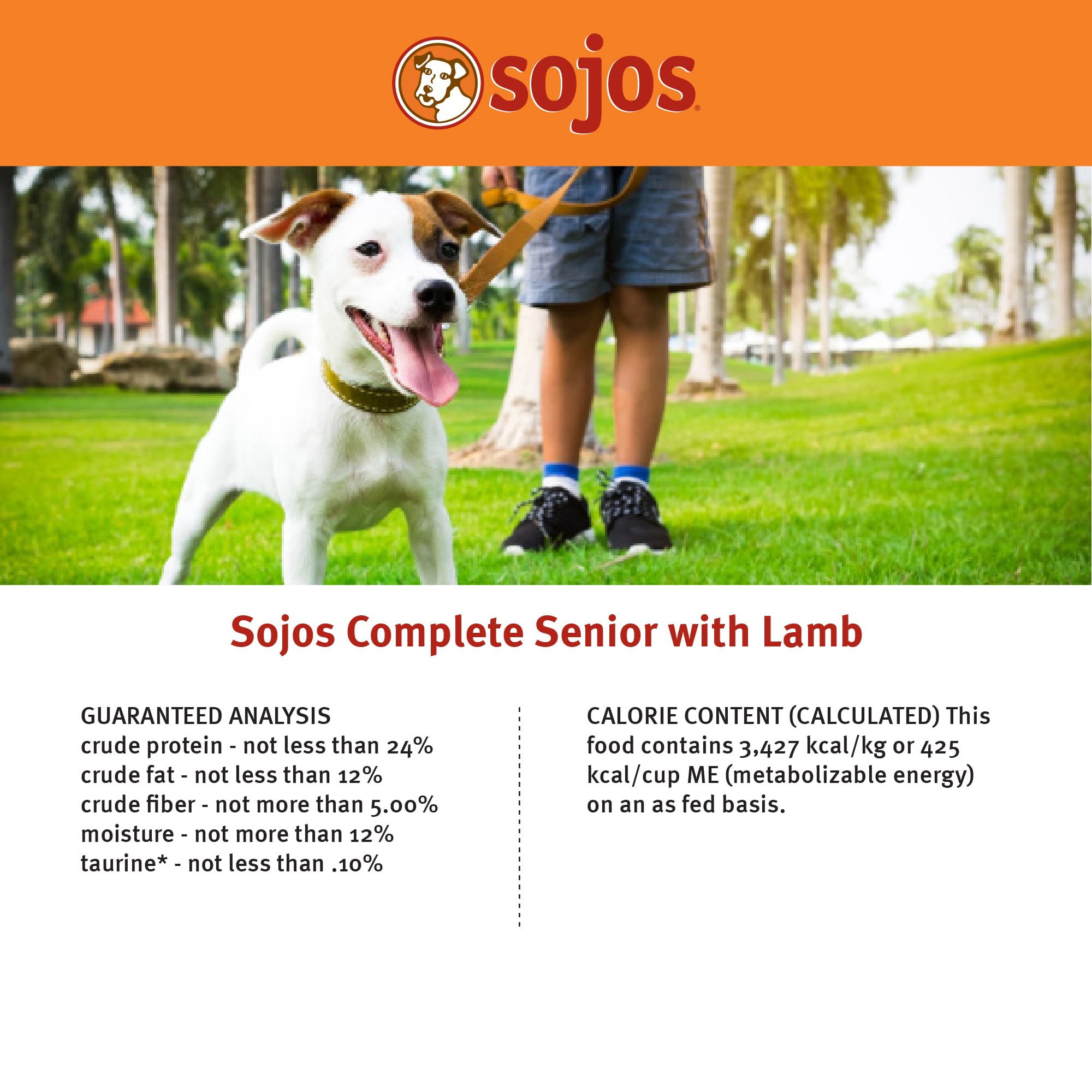 Sojos Complete Lamb Recipe adult dog eating during a relaxed mealtime.