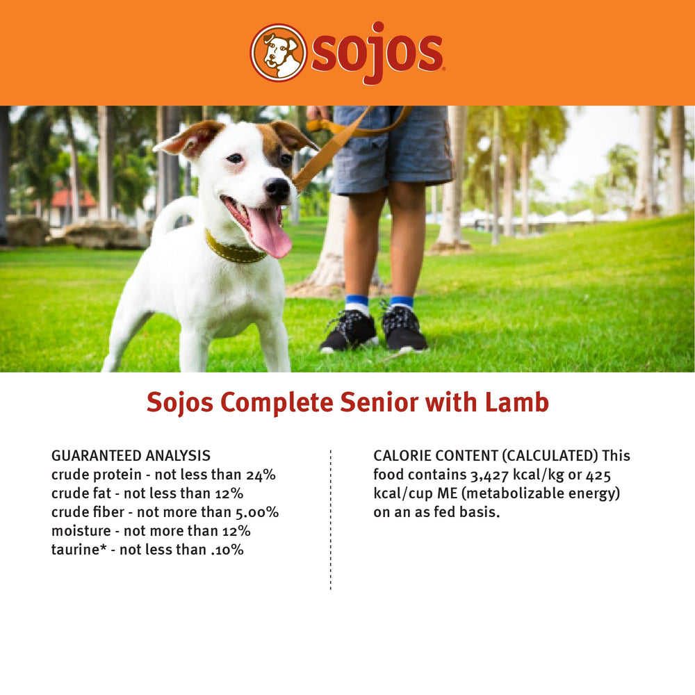 Sojos Complete Lamb Recipe adult dog eating during a relaxed mealtime.