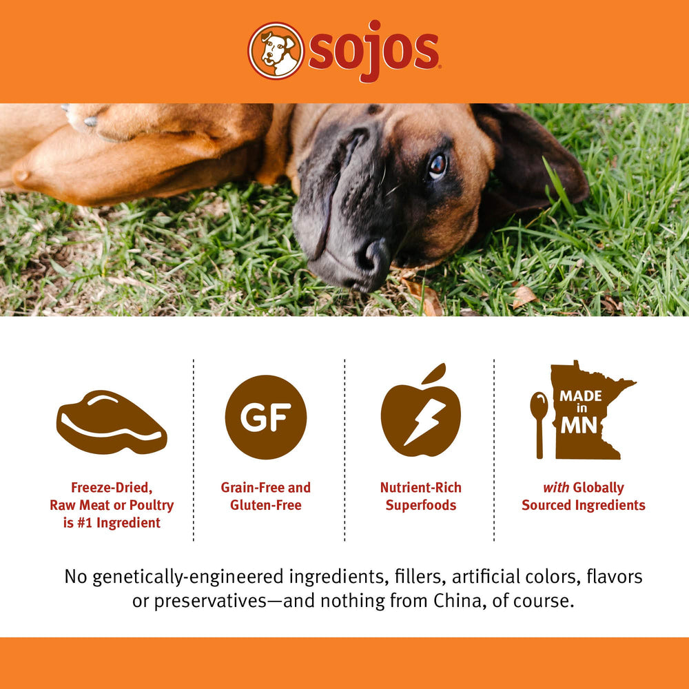 Sojos dog enjoying meal showcases appealing aroma and real-food nutrients.