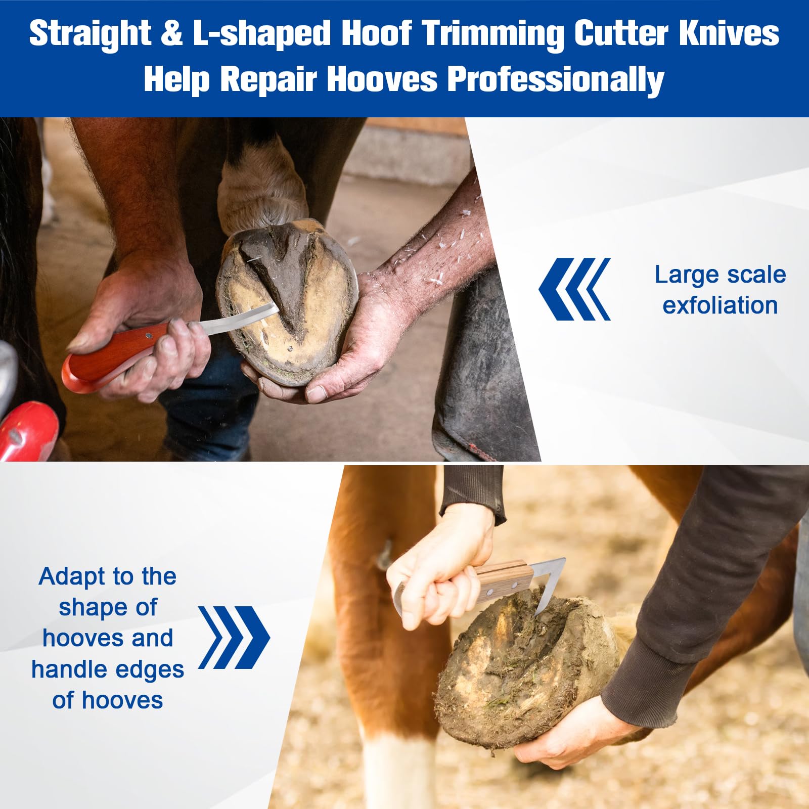 Solaradgy horseshoe brush aids quick cleaning during hoof care
