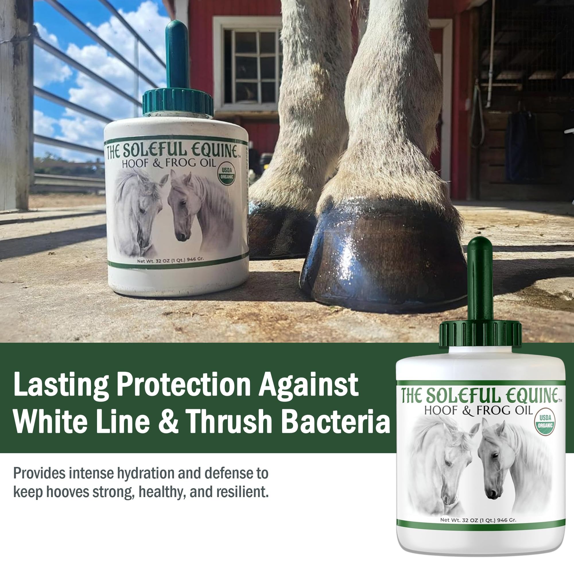 The Soleful Equine hoof oil application on hoof demonstrates easy, mess-free conditioning