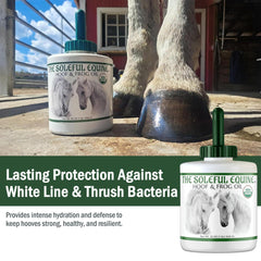 The Soleful Equine hoof oil application on hoof demonstrates easy, mess-free conditioning