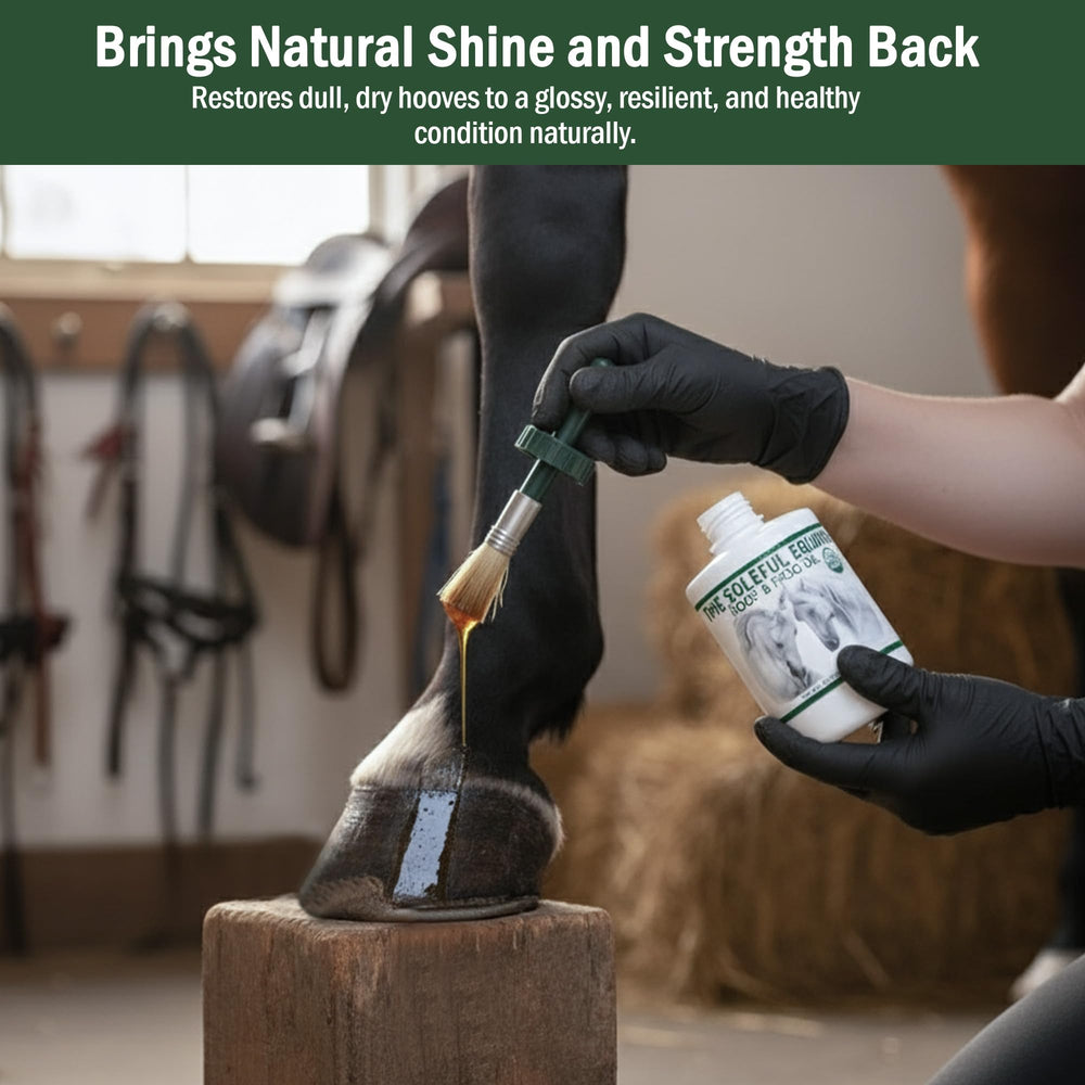 The Soleful Equine hoof oil care routine promotes lasting hoof conditioning