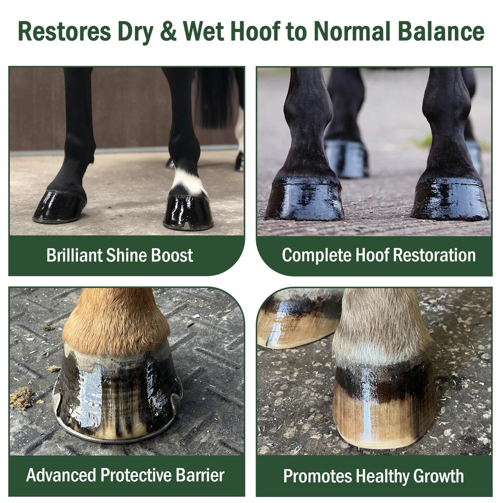 The Soleful Equine hoof oil label details emphasize organic, non-toxic hoof care