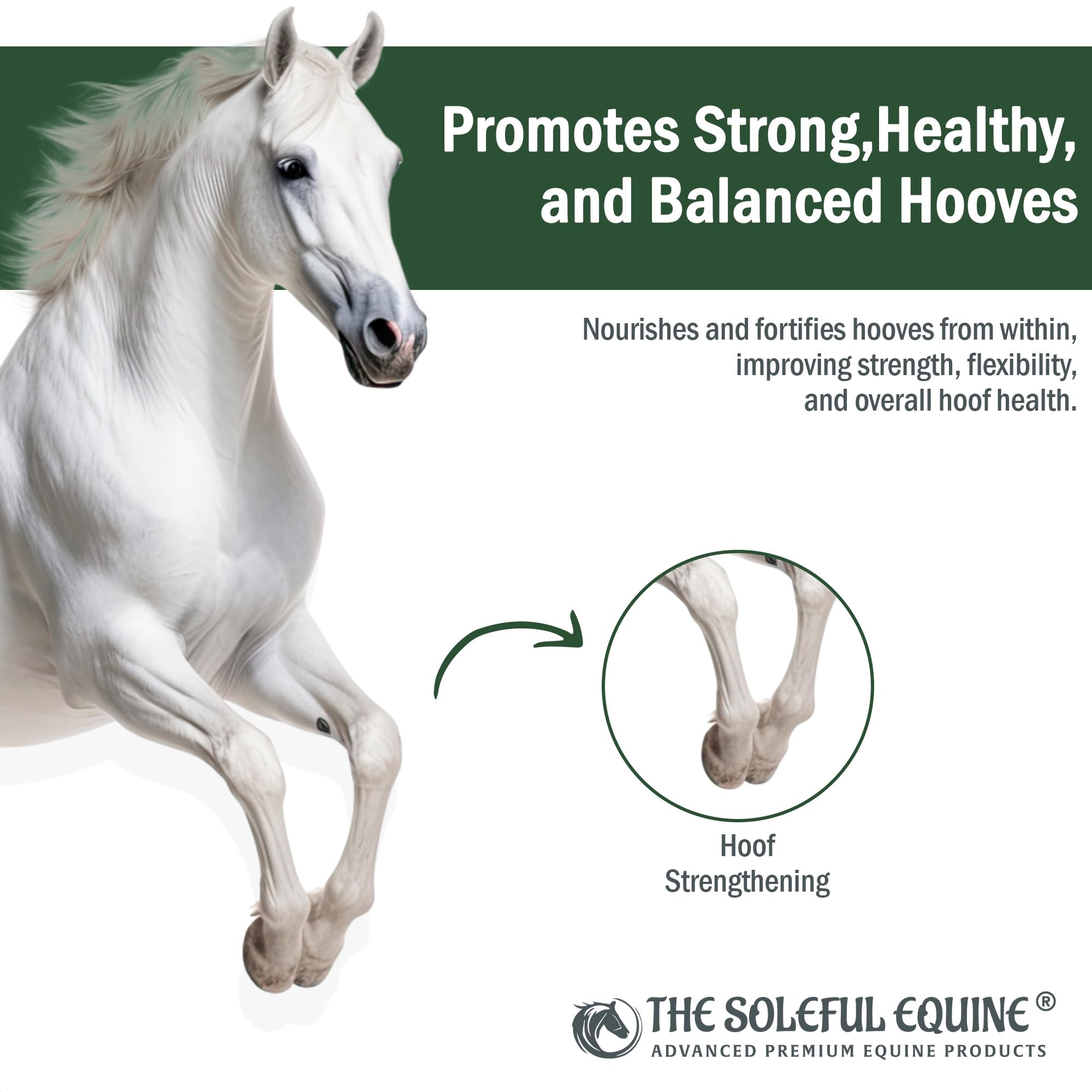 The Soleful Equine hoof oil quick absorption on hoof reduces mess