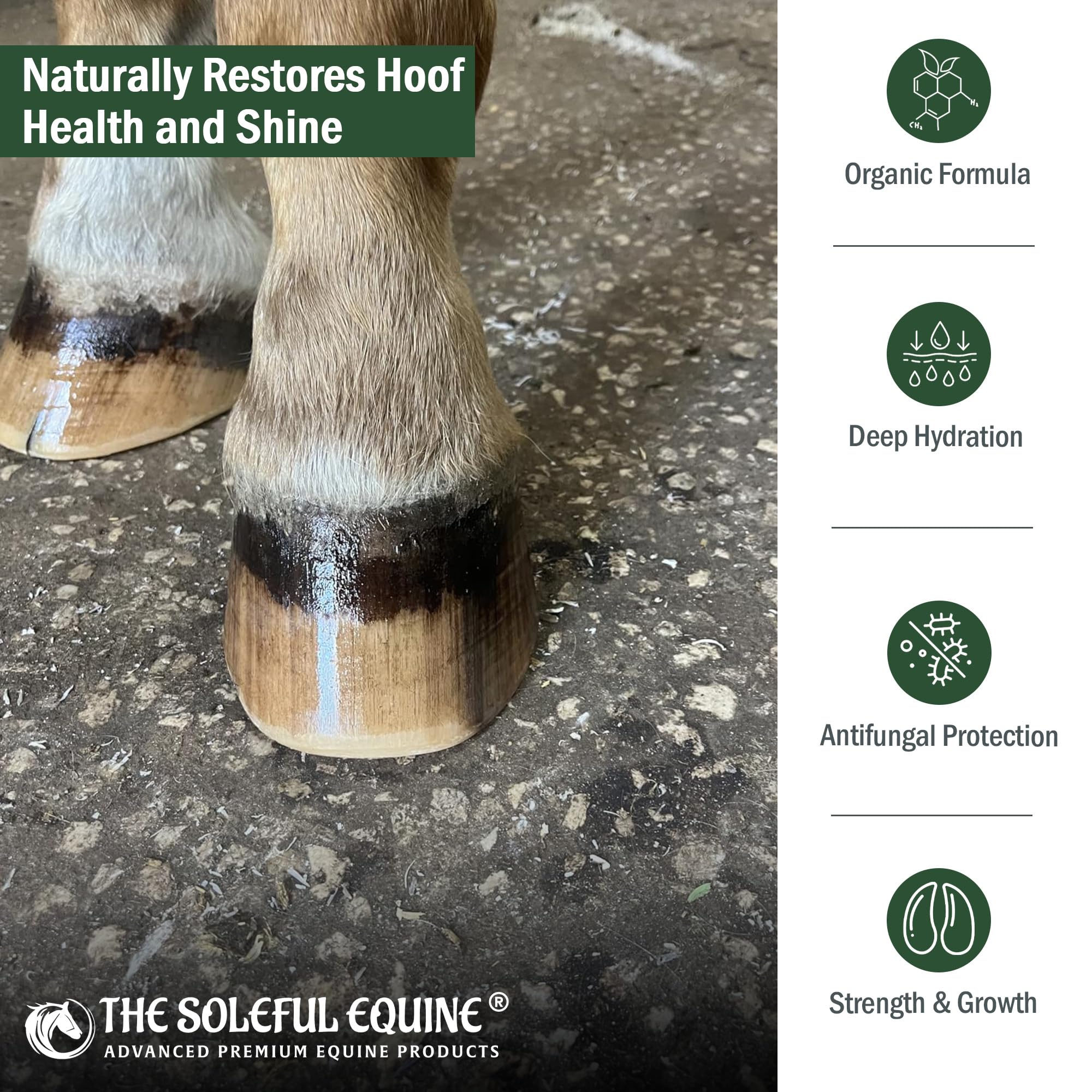 The Soleful Equine hoof oil works against thrush visuals and supports hoof health