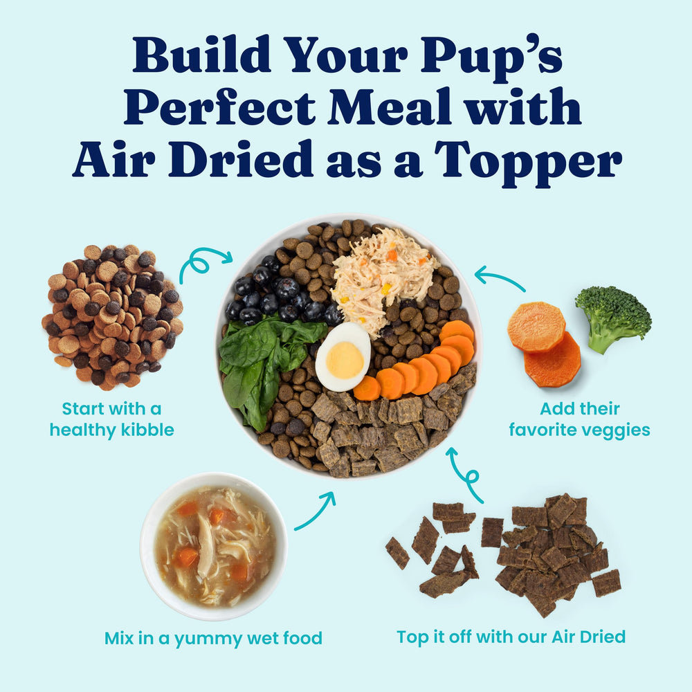 Solid Gold ingredients highlight real meat and superfoods for vitality.