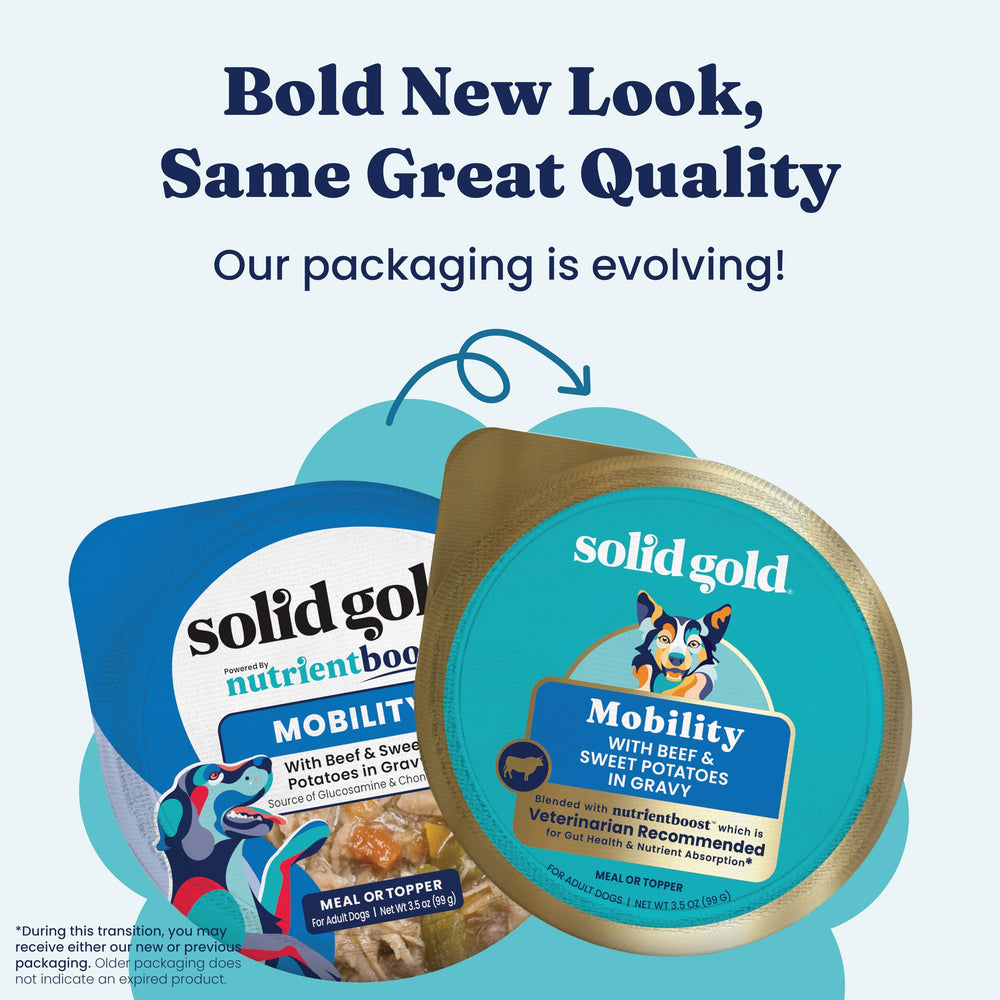 Solid Gold serving topper over kibble shows easy way to boost flavor and moisture.