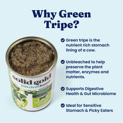 Solid Gold beef tripe wet dog food open can highlights green tripe in gravy.