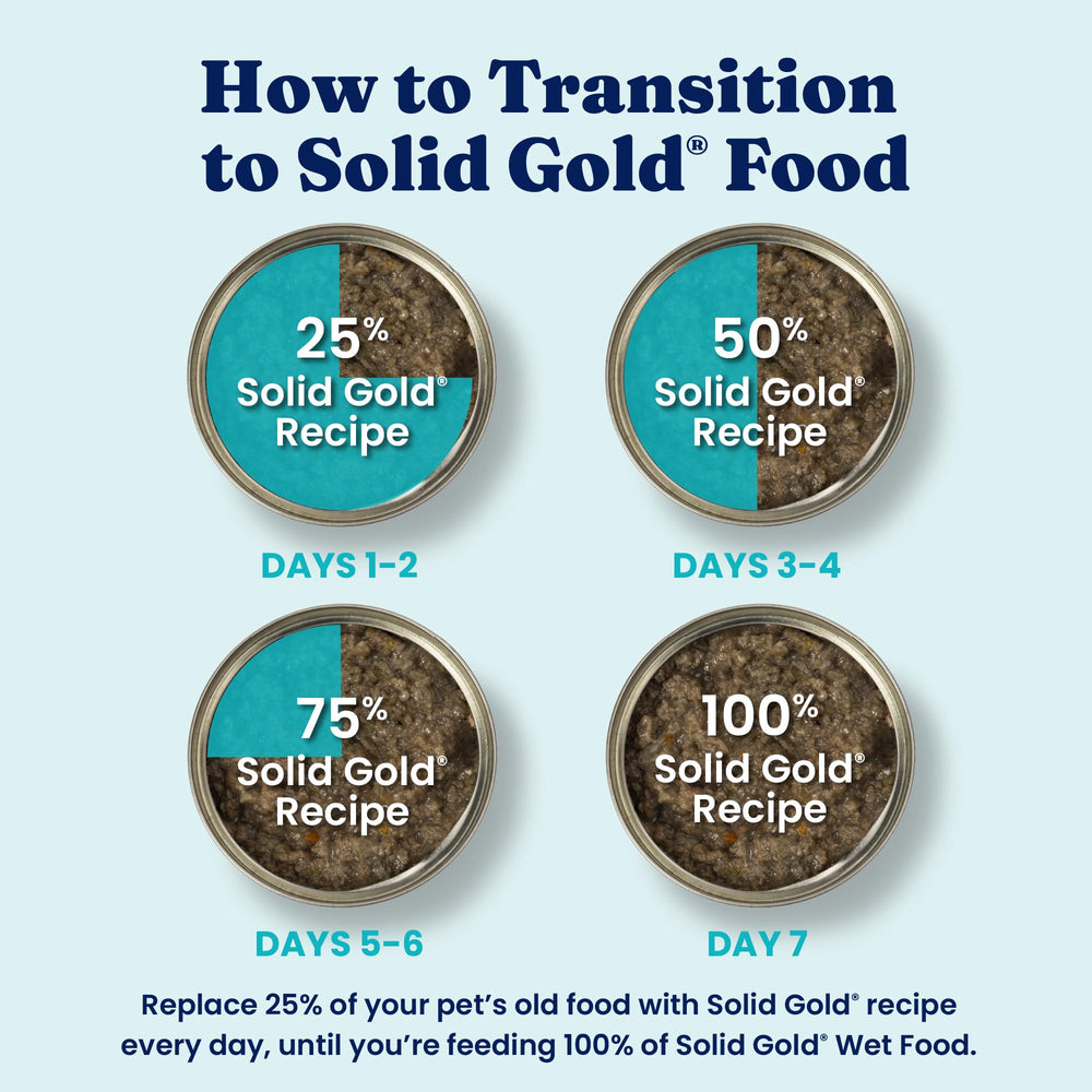 Solid Gold senior dog serving scene demonstrates easy wet food for older pets.