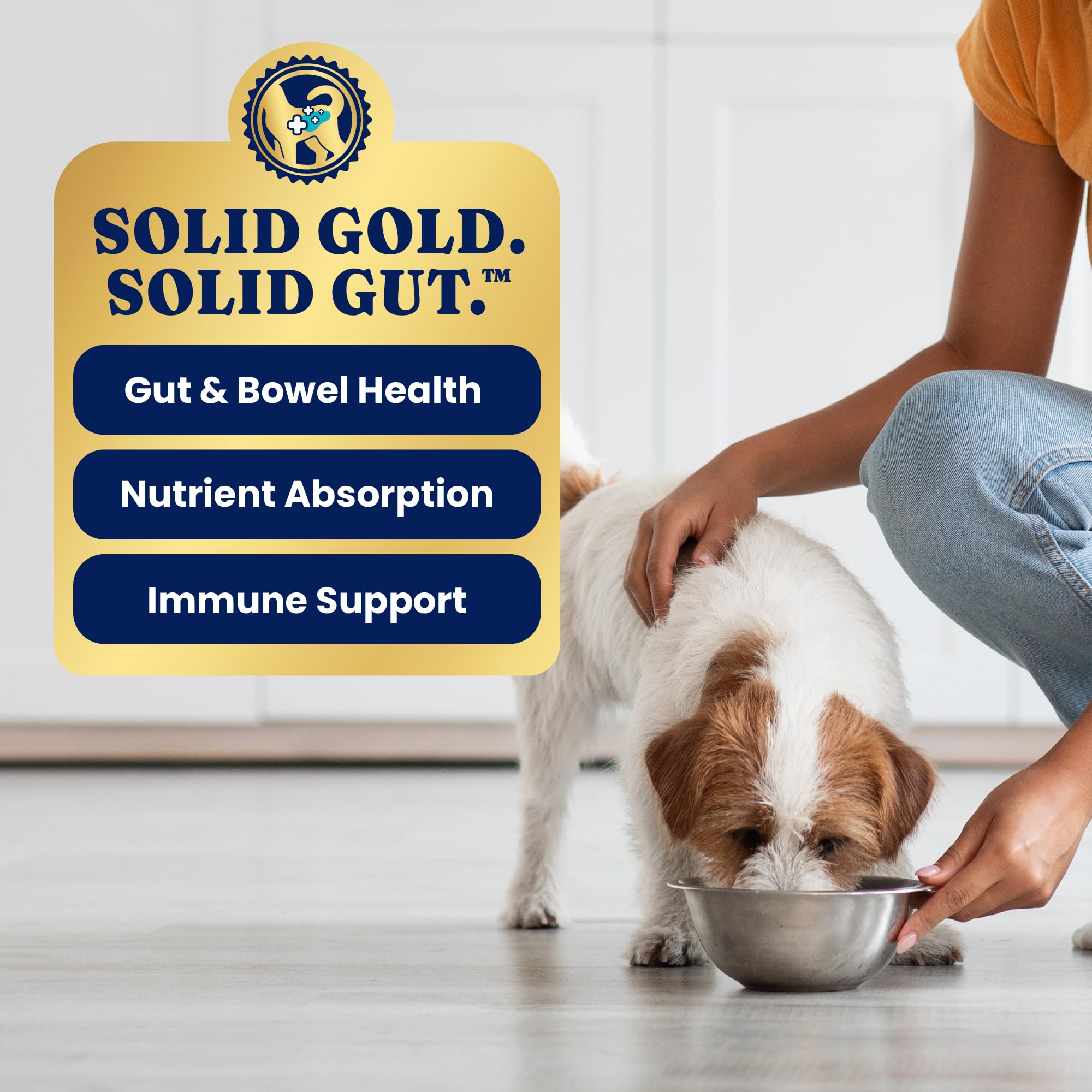Solid Gold wet dog food suitable for small, medium, and large breeds.
