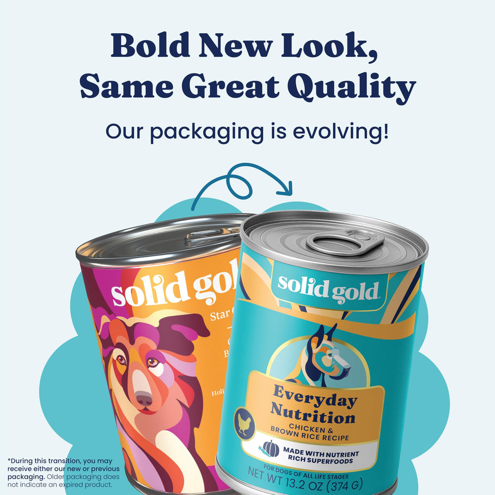 Solid Gold lean protein chicken image emphasizing high-protein wet dog food benefits.