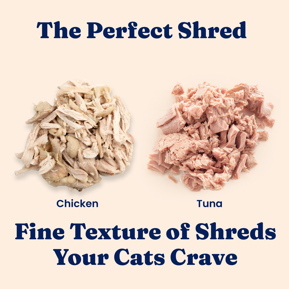 Bowl of Solid Gold wet cat food with shreds ready to serve