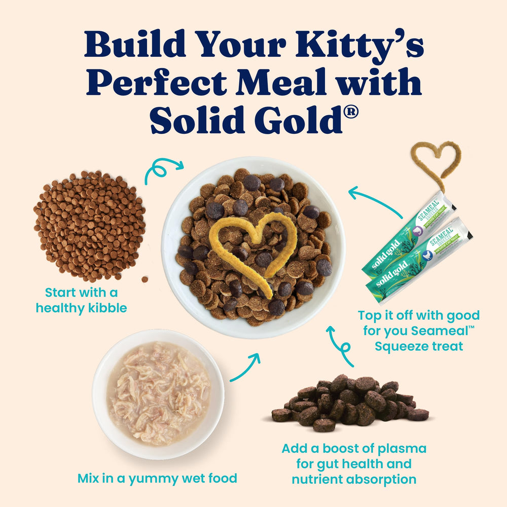 Picky-eater friendly Solid Gold serving demonstrating appealing texture