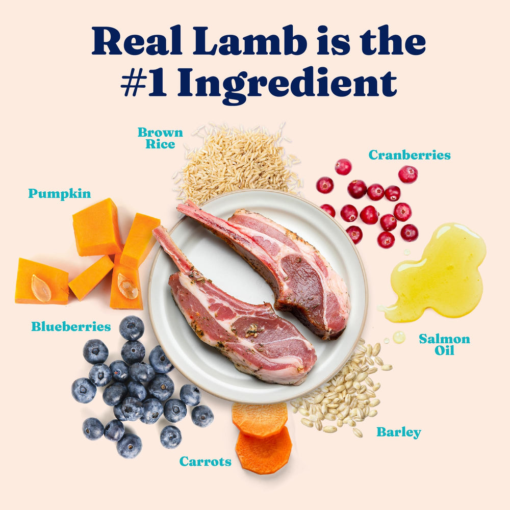 Solid Gold superfoods kibble featuring pumpkin, cranberry, and blueberry for wellness.