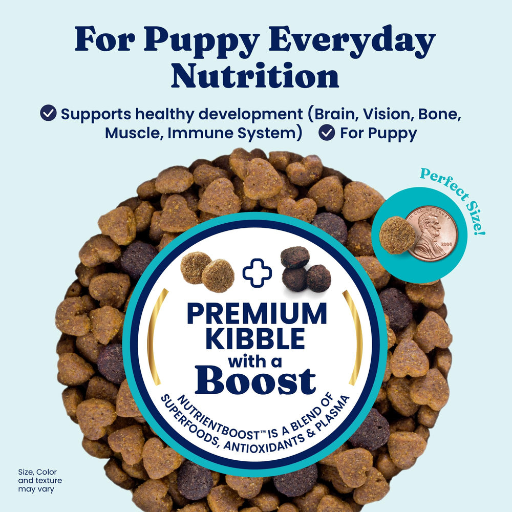 Close-up of Solid Gold puppy kibble texture highlighting protein-rich bites.