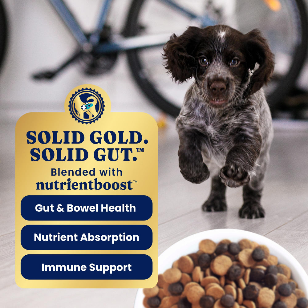 Solid Gold probiotics icon underscoring gut health support for puppies.