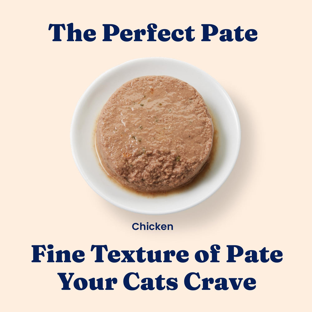 Solid Gold Chicken Pate grain-free formula aids comfortable digestion