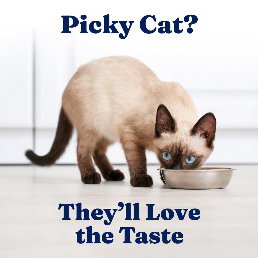 Solid Gold Chicken Pate suitable for kittens through seniors