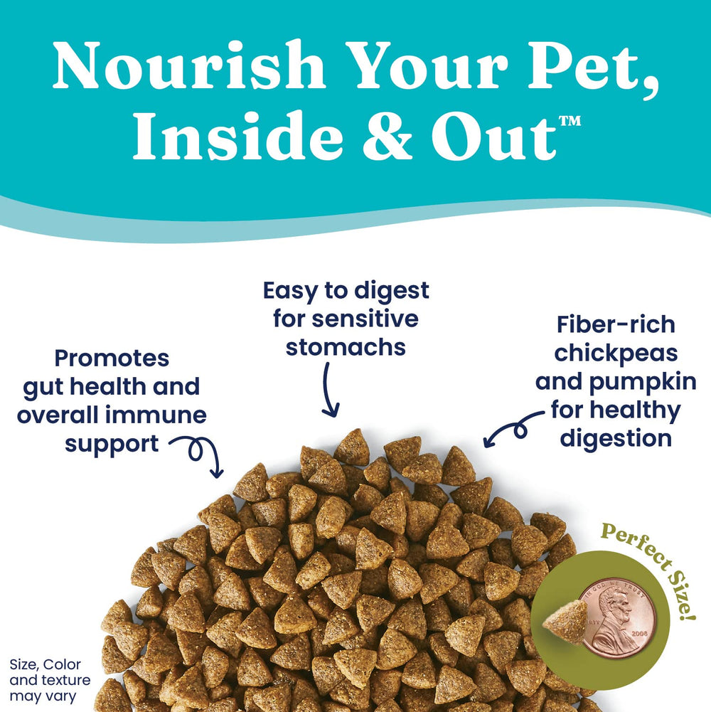 Closeup of pumpkin and chickpeas in Solid Gold dog food; digestion-friendly ingredients