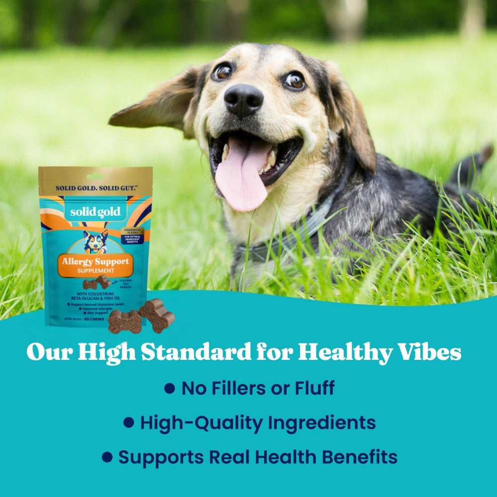 Bioboost-enhanced Solid Gold chews with colostrum and astragalus