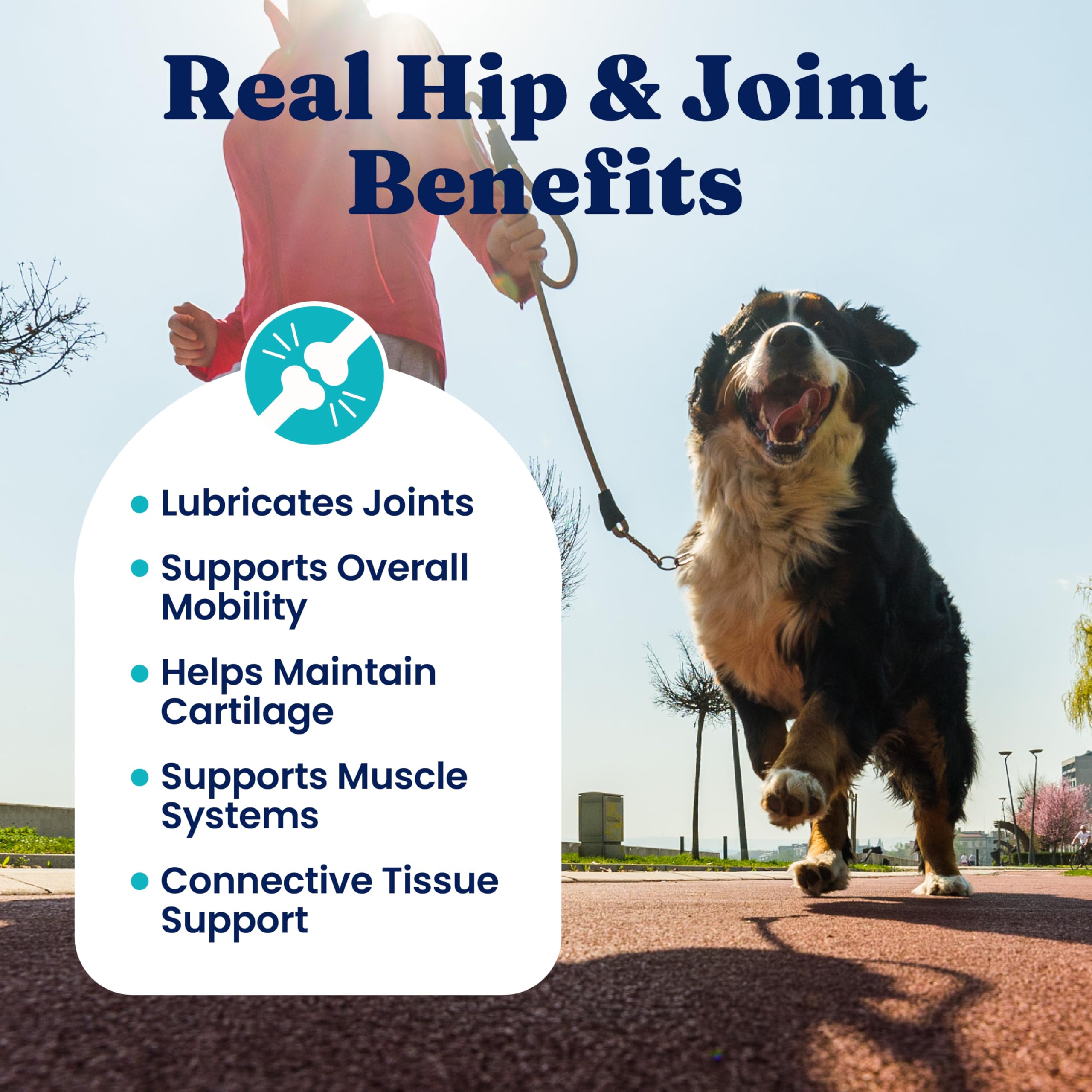 Solid Gold hip joint chews smoked bacon flavor entices even picky dogs.