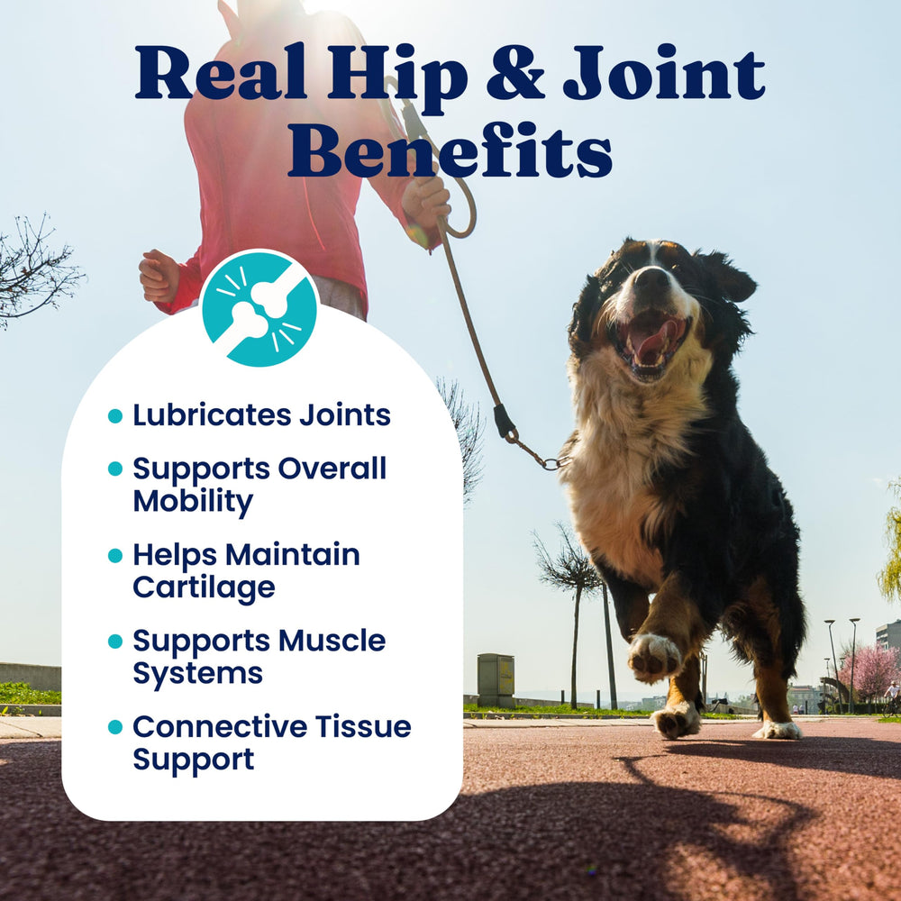 Solid Gold hip joint chews smoked bacon flavor entices even picky dogs.