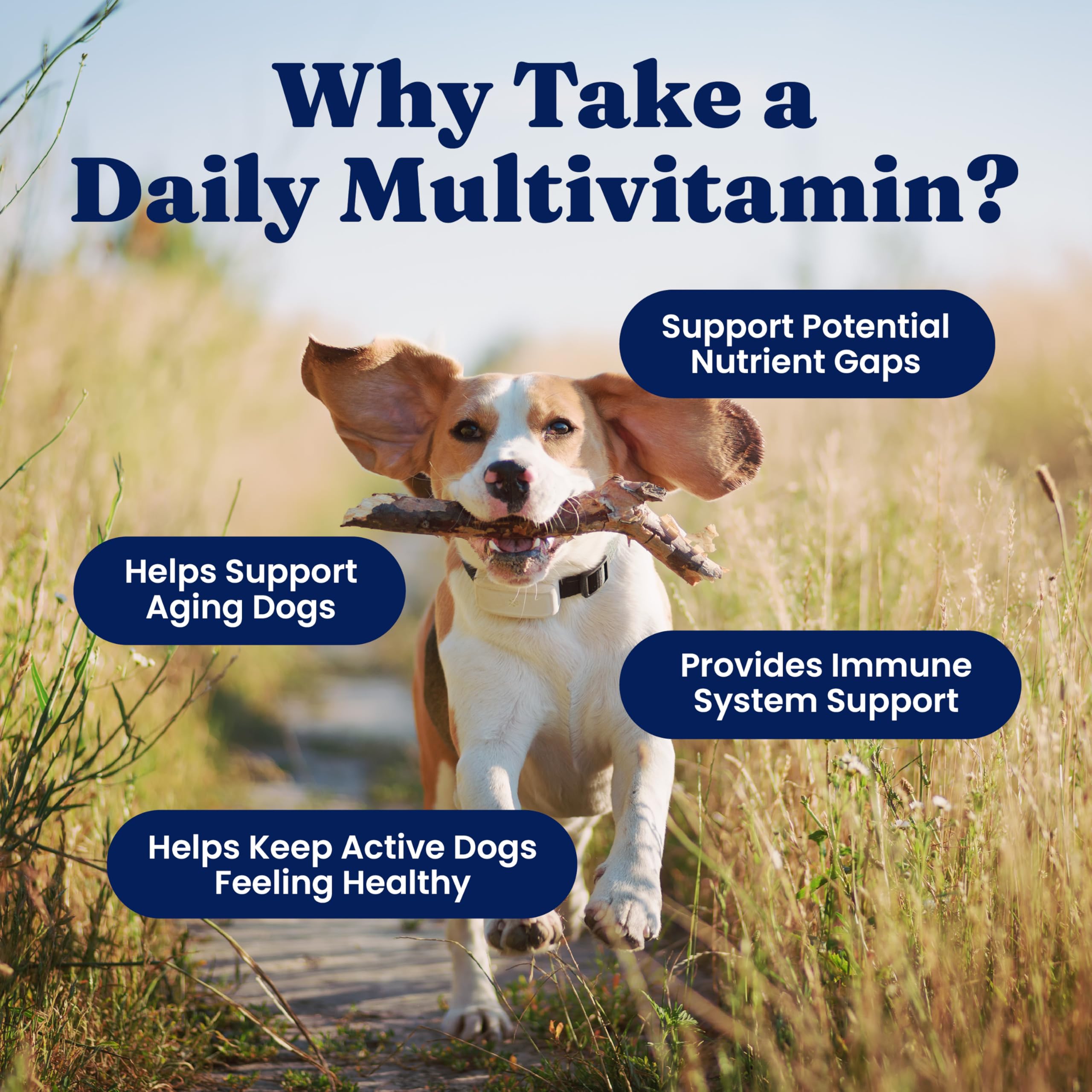 Solid Gold multivitamin nutrition label shows vitamins and minerals.