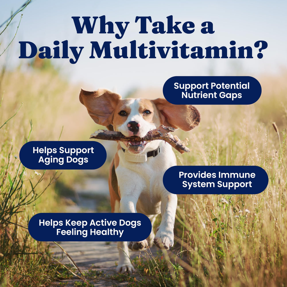 Solid Gold multivitamin nutrition label shows vitamins and minerals.
