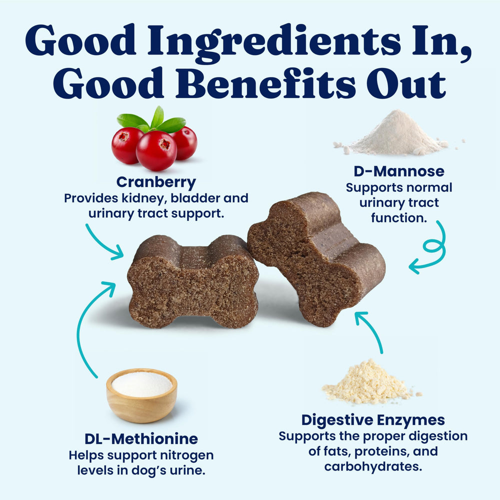 Solid Gold bacillus coagulans chews promoting gut comfort and yard health