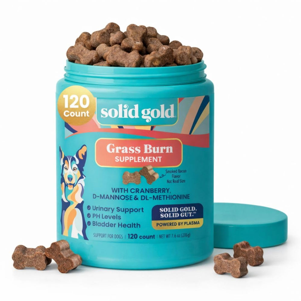 Solid Gold dog-pee grass repair chews bottle shows bacon flavor for lawn protection