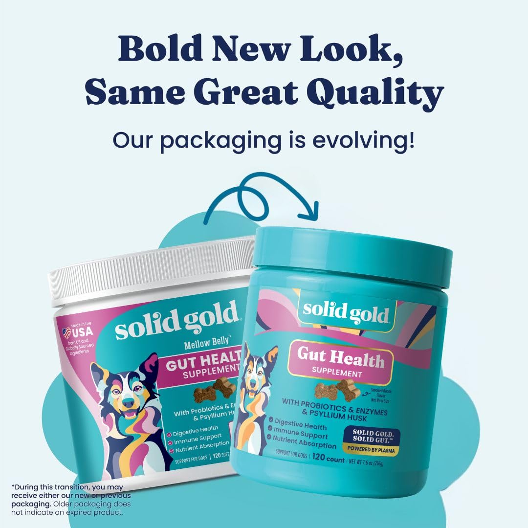 Solid Gold dog probiotics bacon chews closeup shows textured bite for daily gut health.
