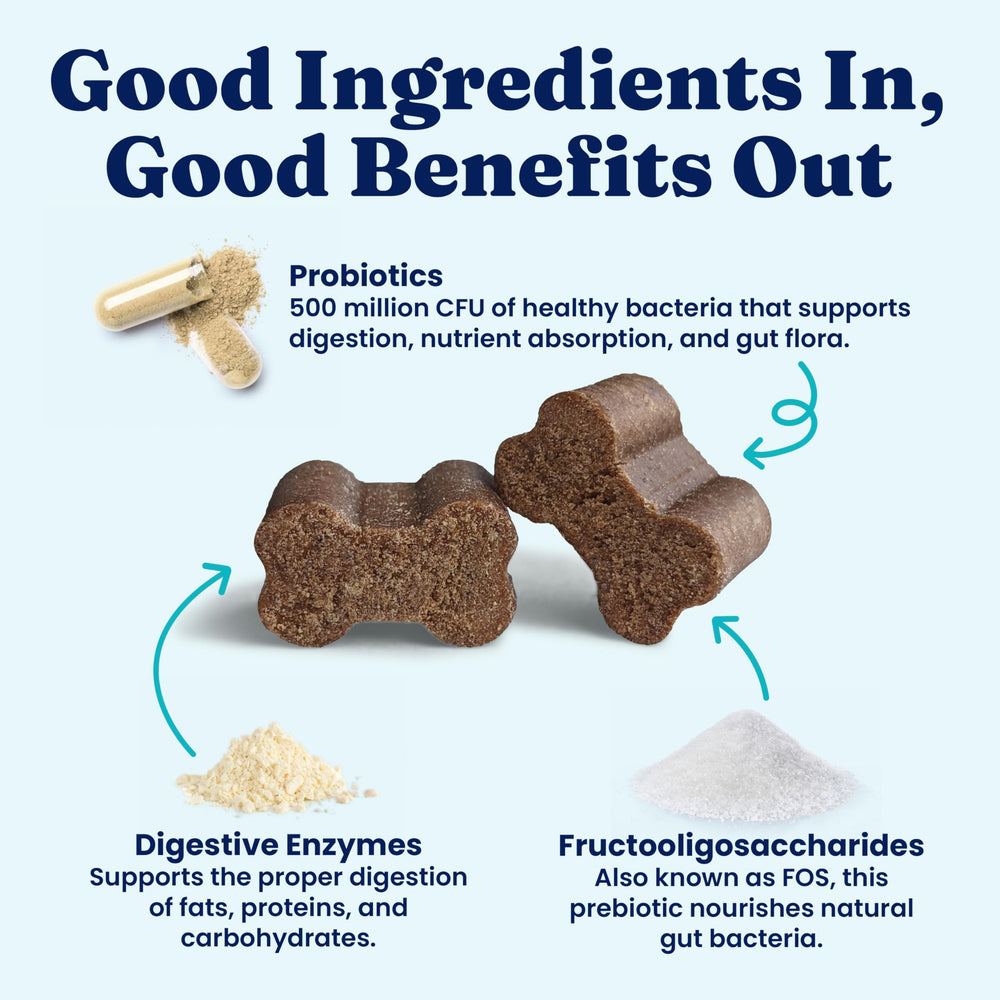 Solid Gold digestive enzymes chart explains amylase, lipase, protease.