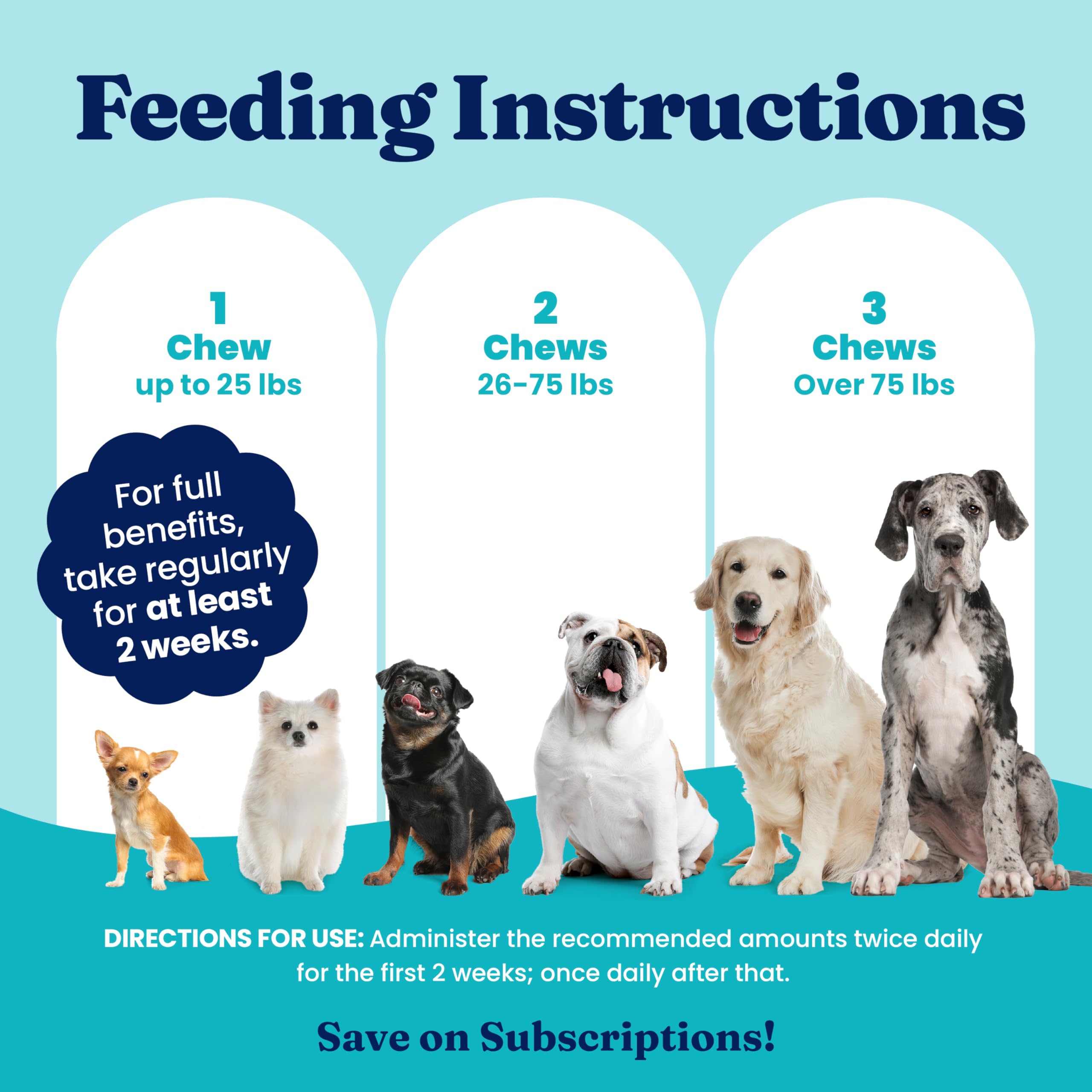 Solid Gold healthy gut flora illustration implies daily canine balance.