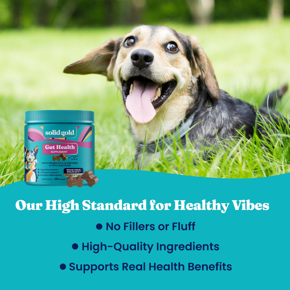 Solid Gold prebiotic fiber graphic for digestive balance.