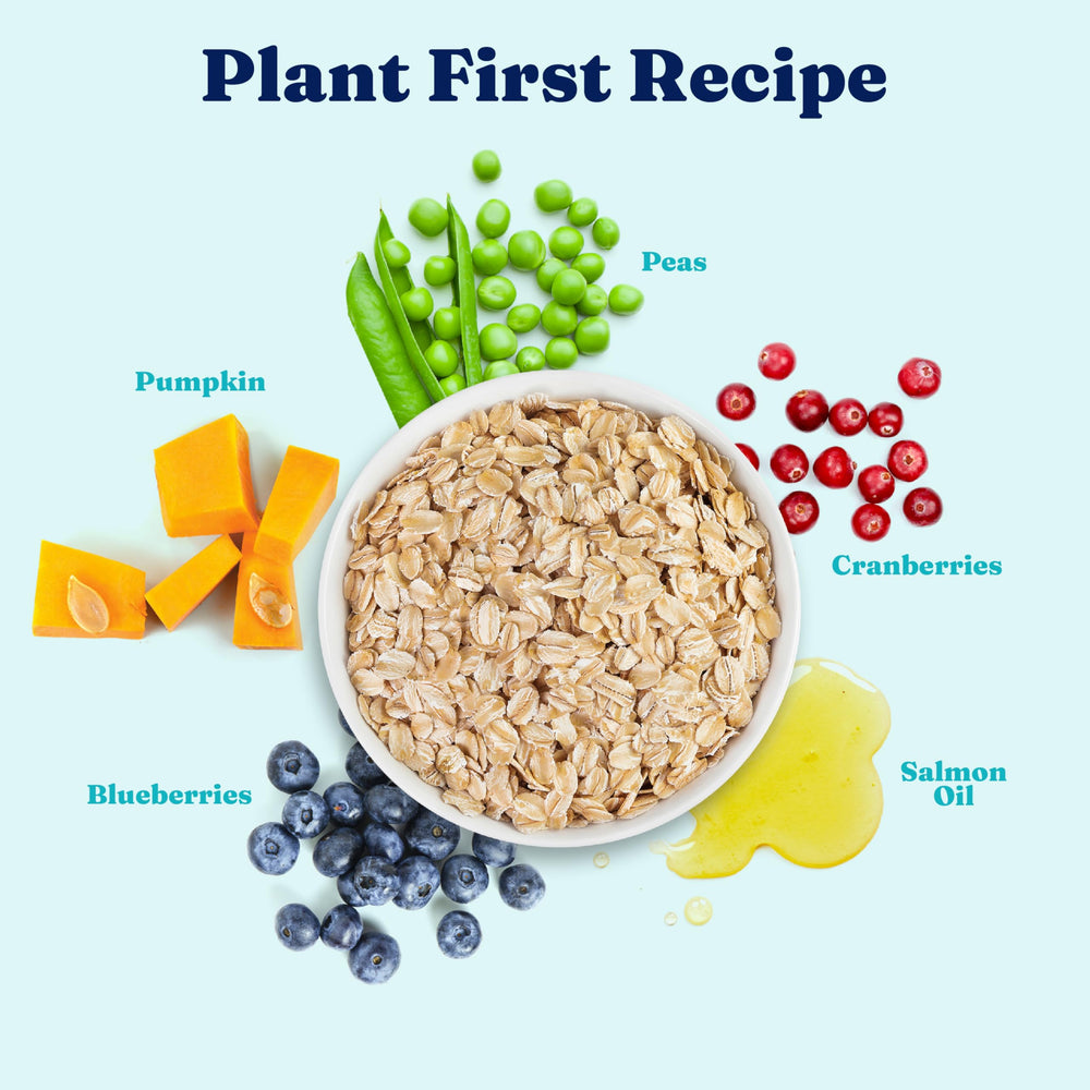 Solid Gold ingredients display oatmeal, barley, and fish used in the formula