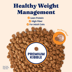 Solid Gold Fit as a fiddle grain-free formula for healthier weight.