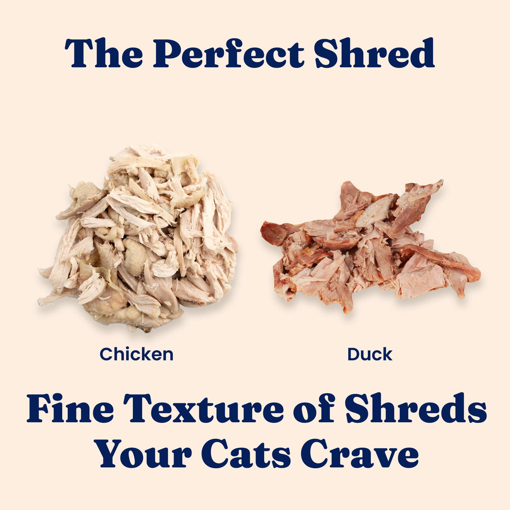 Solid Gold gentle-on-stomachs wet cat food surface suggests easy digestion for sensitive cats.