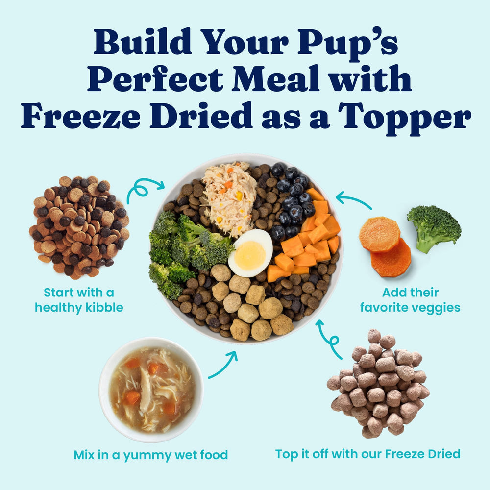Solid Gold grain-free ingredients support a simple, protein-focused diet.