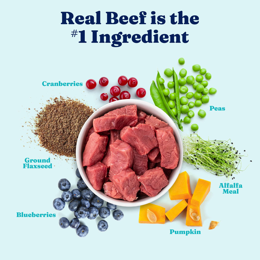 Solid Gold grain-free wet dog food with beef for grain-free diets
