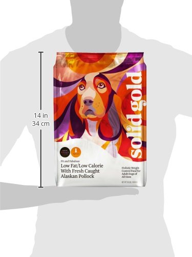 Solid Gold healthy-weight dog food bowl emphasizes portions and digestion support.