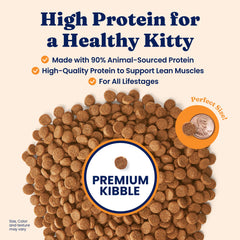 Solid Gold high-protein kibble close-up shows protein-rich bites for lean muscle.