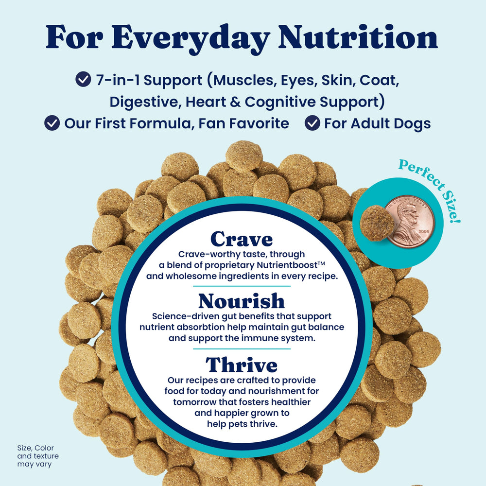 Solid Gold Hund-N-Flocken lamb kibble close-up emphasizing protein-rich nutrition.