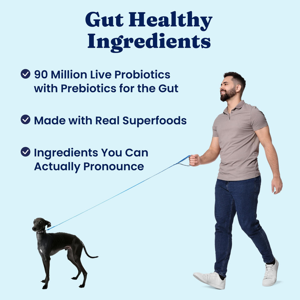Solid Gold Hund-N-Flocken probiotic label showcasing gut health benefits.
