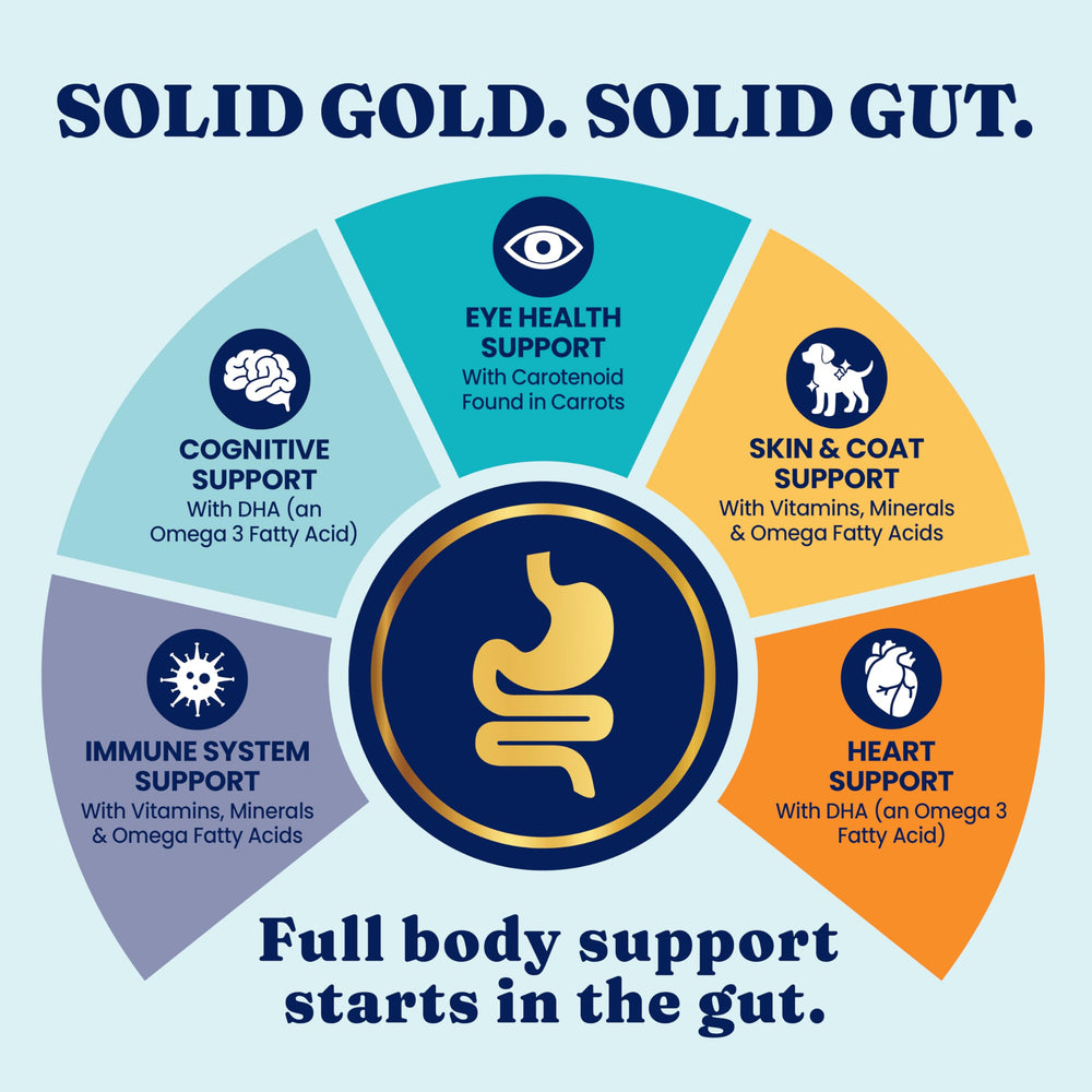 Solid Gold Hund-N-Flocken salmon oil bottle for omega-3 skin and coat support.