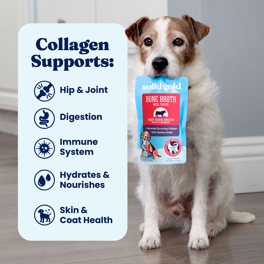 Solid Gold hydration boost for dogs through flavorful broth.
