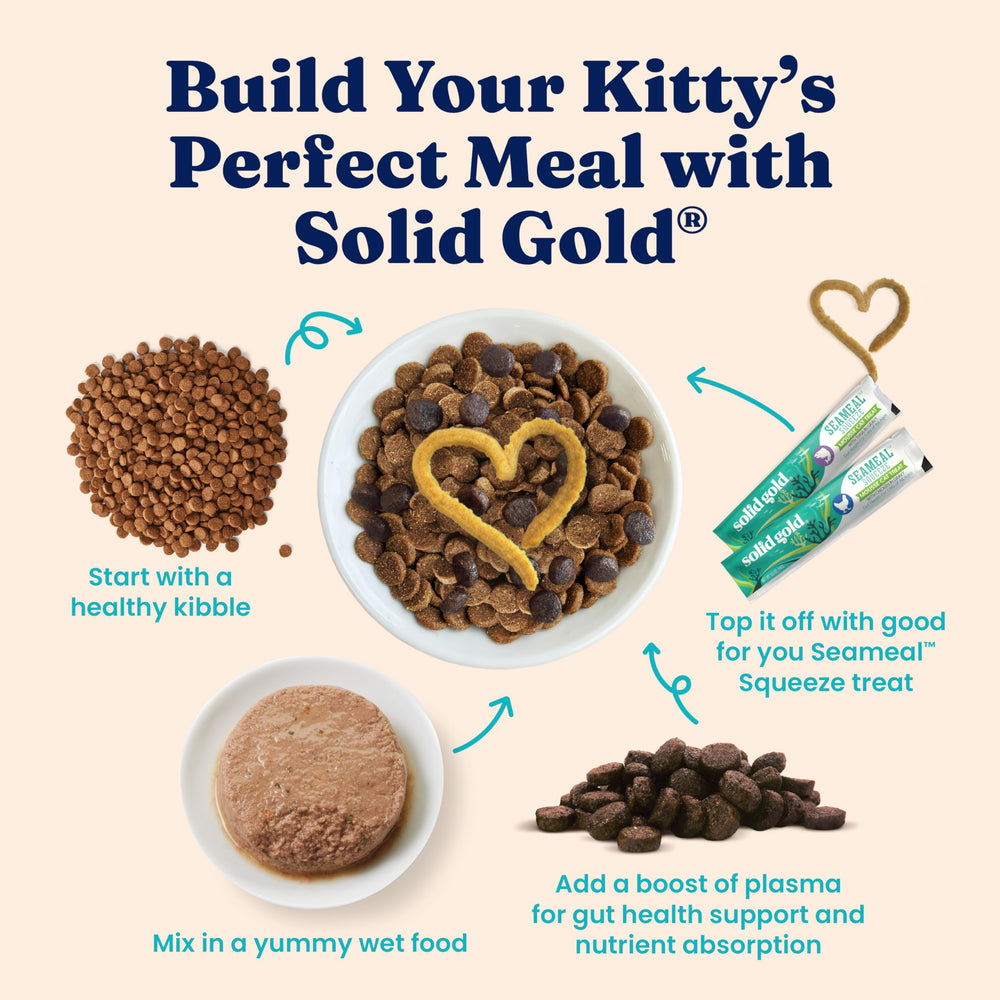 Solid Gold kitten wet food 24ct pack for consistent meals