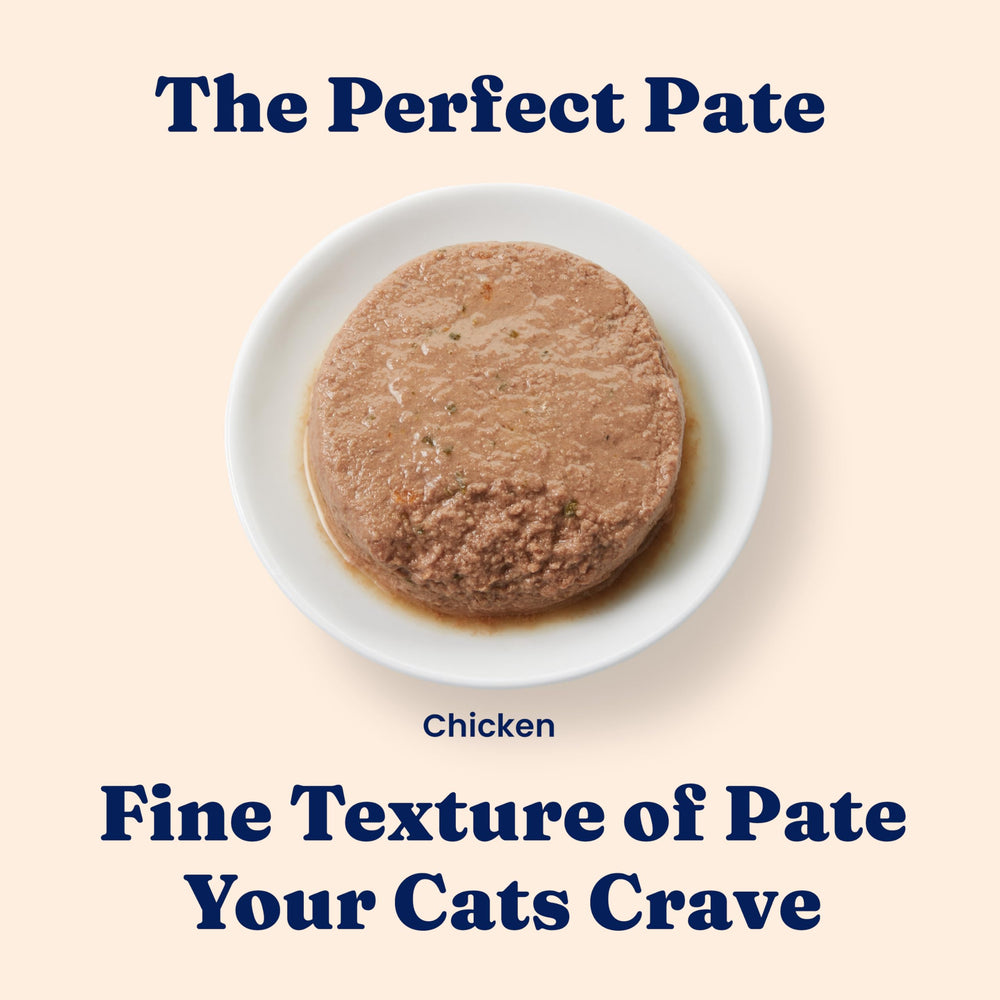 Solid Gold kitten pate enriched with superfoods and omega fatty acids
